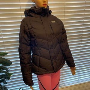 Northface Winter Jacket